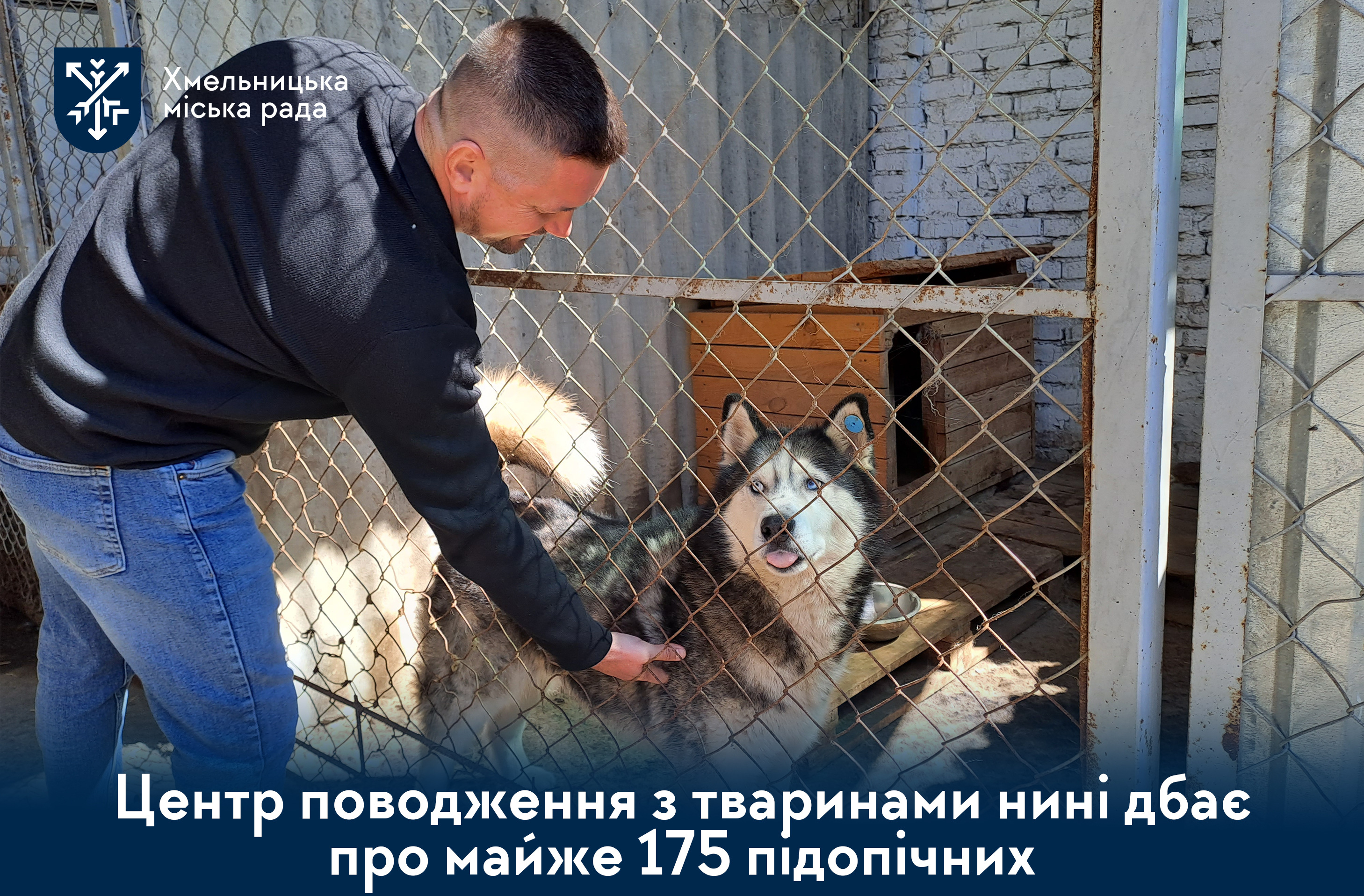 У Хмельницькому готуються до «Лапи Фесту»: долучайтеся, щоб допомогти безпритульним тваринам (відео)