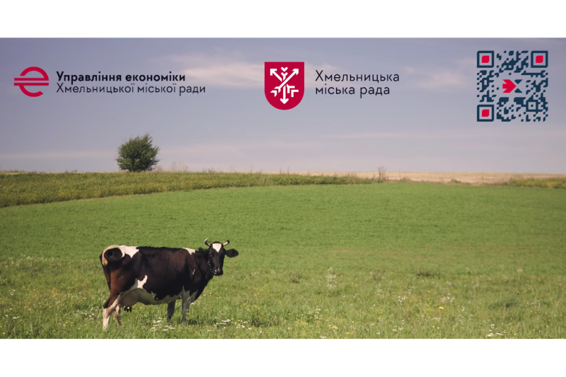 за кожну новонароджену корову 