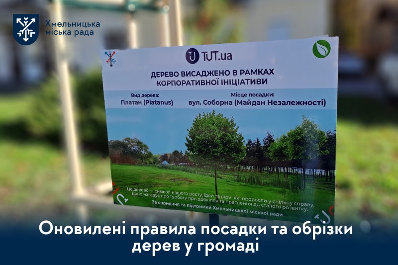 Порядок догляду та збереження зелених насаджень